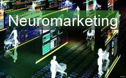 Gehirnforschung: Neuromarketing | Fachblog: Kourosh Ghaffari